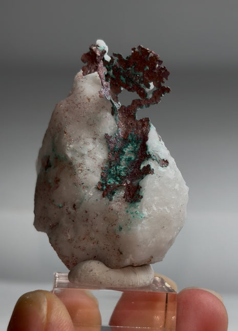 New find ! Native Copper on Quartz