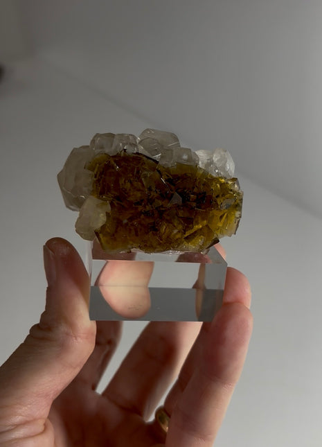 Fluorite with Calcite Collection # 667