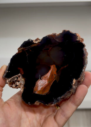Red Fox Agate Geode from Argentina