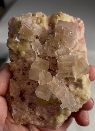 Rare ! Pink Green Bicolor Halite