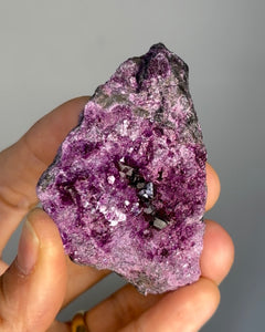 Collection image for: New Arrivals