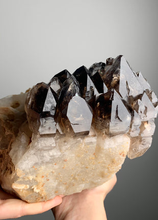 Incredible ! Elestial Smoky Quartz - 5.5 kgs ! From Namibia *