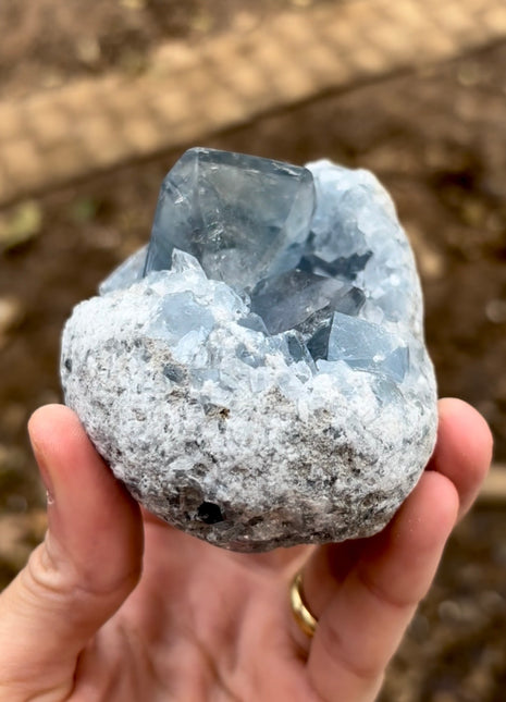 Amazing ! Sky Blue Celestite
