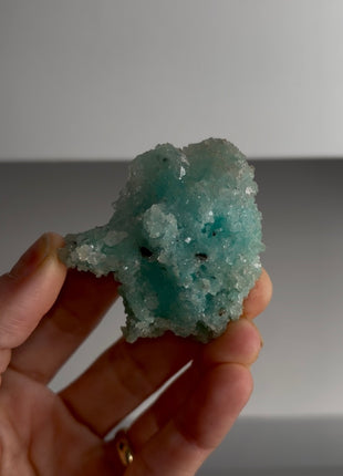 Caribbean Blue Aragonite