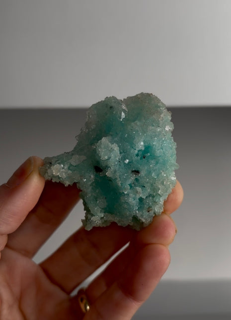 Caribbean Blue Aragonite