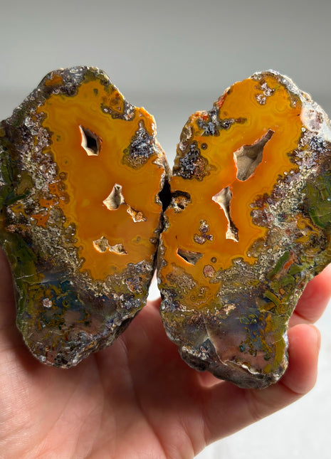 Rare ! Black Sea Agate Pair*