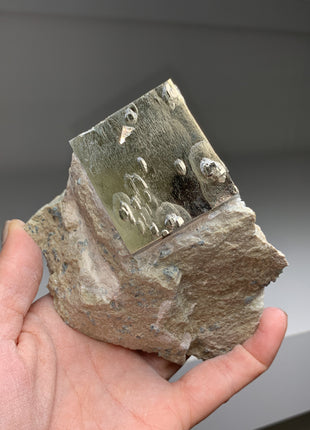 New ! Cubic Pyrite on Matrix from Navajun, Spain