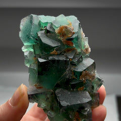 Collection image for: Okorusu Fluorite