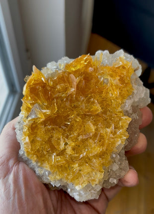 Exquisite 💎 Golden Honey Selenite on Halite