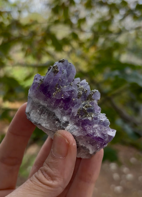Wow ! Amethyst with Pyrite
