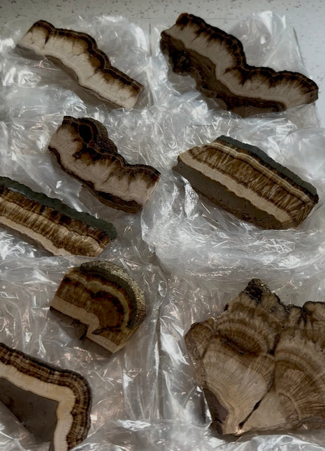 8 Pieces ! Barite with Pyrite Slices Lot