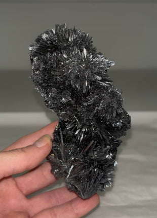 Finest ! Stibnite Spray from Romania Collection # 585