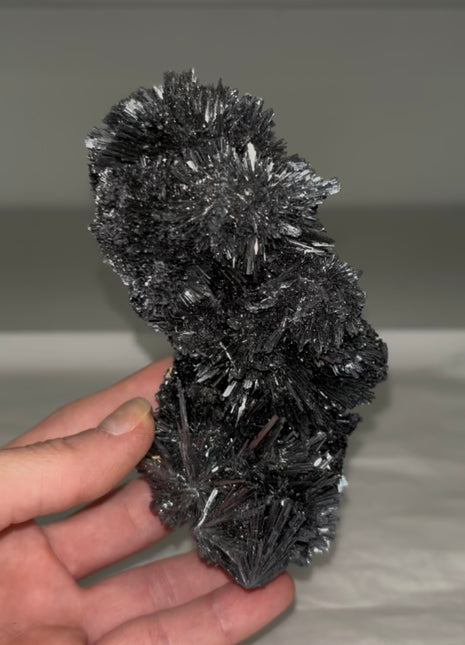 Finest ! Stibnite Spray from Romania Collection # 585