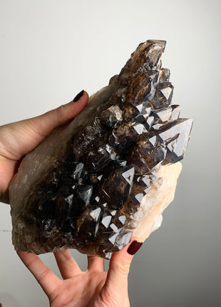 Incredible Elestial Smoky Quartz on White Quartz - 3.5 kgs, From Namibia 🩶🩶