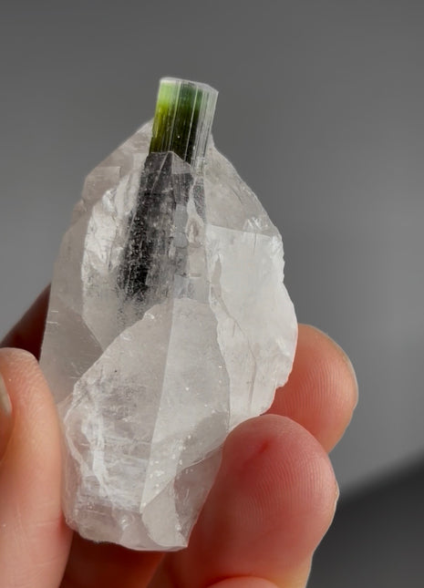 Green Cap Tourmaline with Quartz PM1433