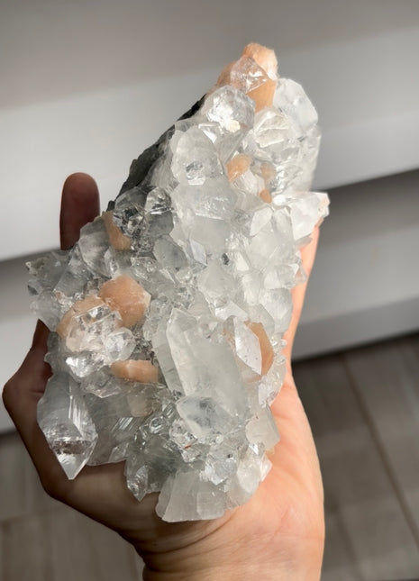Brilliant Apophyllite with Pink Stilbite PM0741