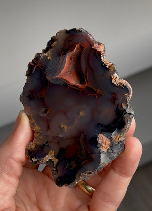 Red Fox Agate Geode from Argentina