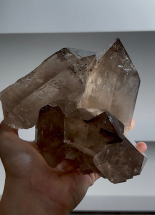 Huge Smoky Quartz from Mont Blanc PM1134