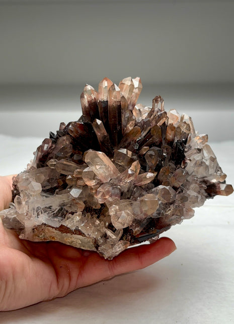 Shimmering Nevara Quartz
