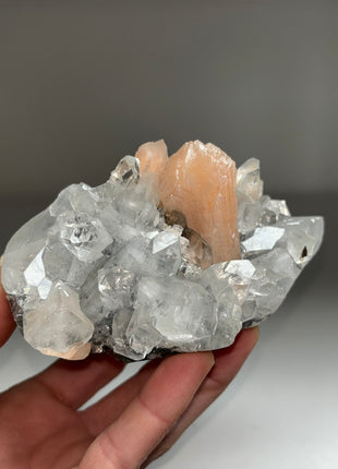Gemmy Apophyllite with Pink Stilbite