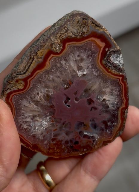 Condor Agate from Argentina PM0884
