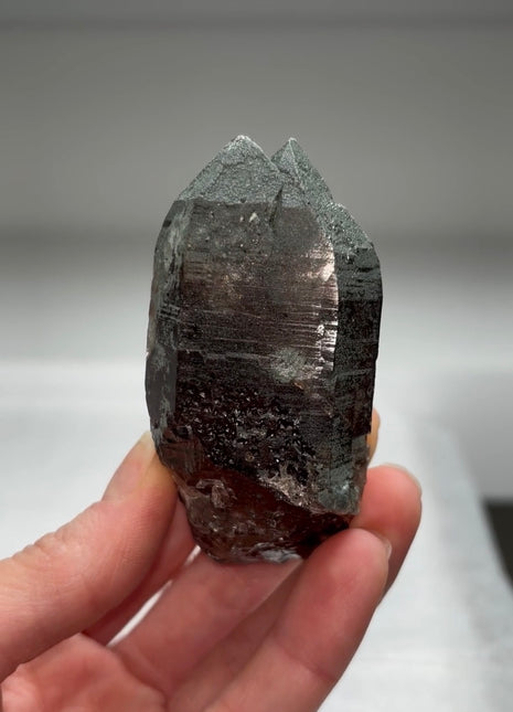 Extra Dark Green Chlorite Quartz - From Swiss Alps