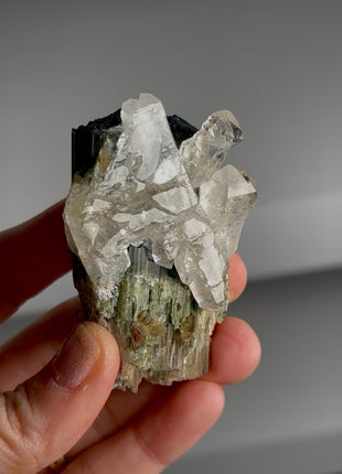 Green Cap Tourmaline with Quartz Collection # 712