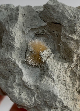 Bursting Sun Aragonite in Cluster - From Pantoja, Spain