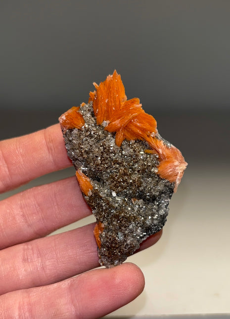 Orange Barite with Cerussite and Galena