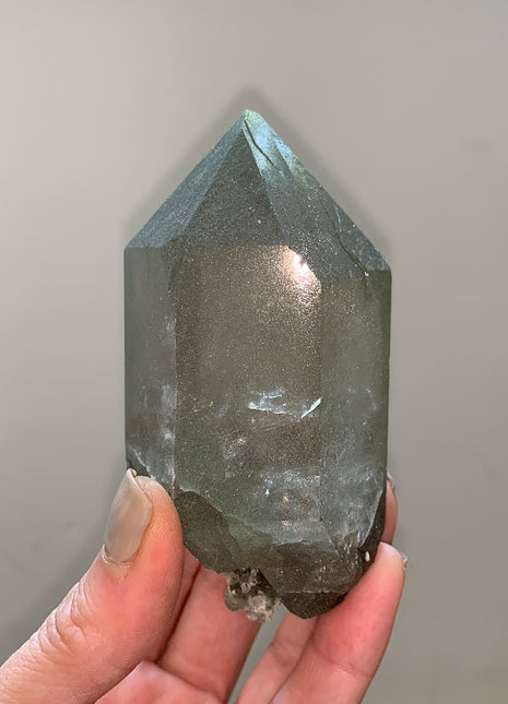 DT Smoky Quartz with Glittery Green Chlorite - Mont Blanc, France