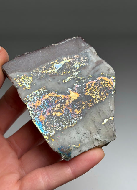 Rare ! Mohawkite with 12 Different Minerals