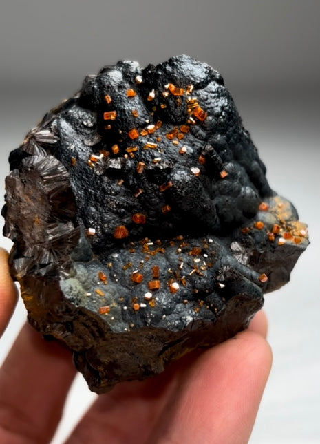 New Arrival ! Black Goethite with Red Vanadinite