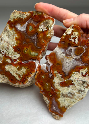 Rare ! Black Sea Agate Pair