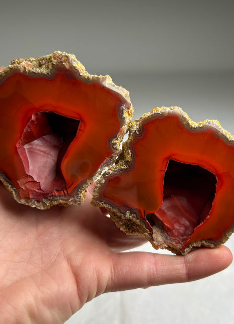 Wow !! Black Sea Agate Geode Pair