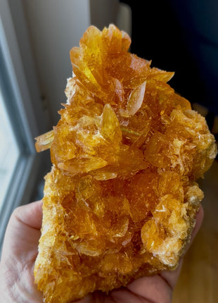 Exquisite 💎 Golden Honey Selenite Flower