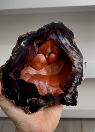 Red Fox Agate Geode from Argentina 🔥