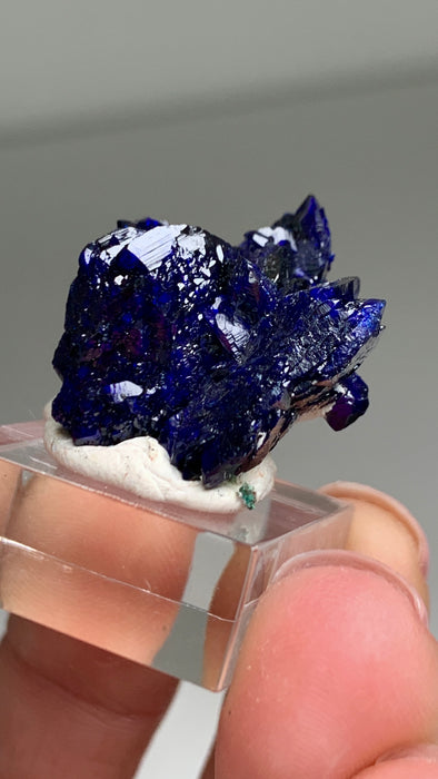 Incredible Blue ! Azurite - From Milpillas, Mexico
