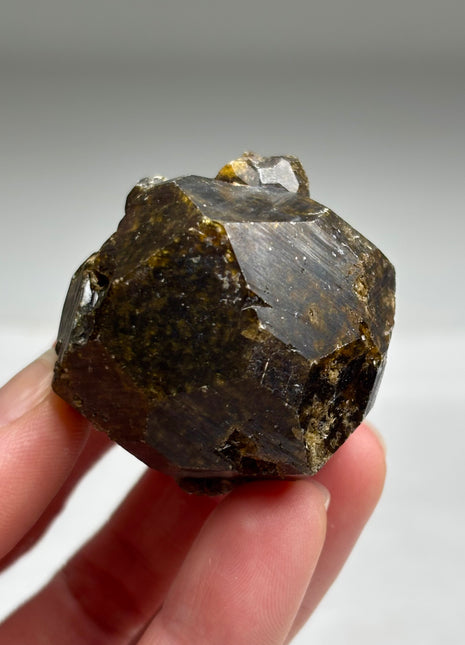 Andradite Garnet from Mali