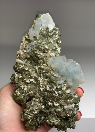 Amazing ! Blue Barite with Pyrite