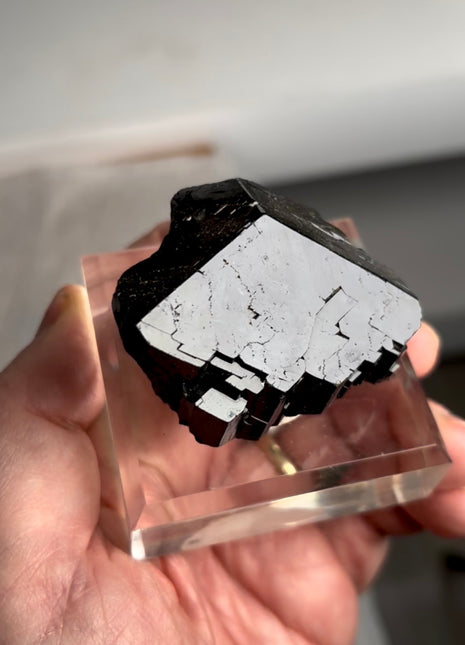 Black Tourmaline - From Erongo, Namibia