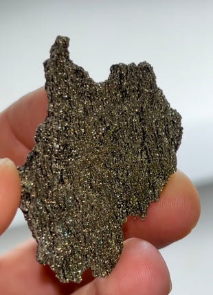 Rare ! Pyritized Petrified Wood PM0691