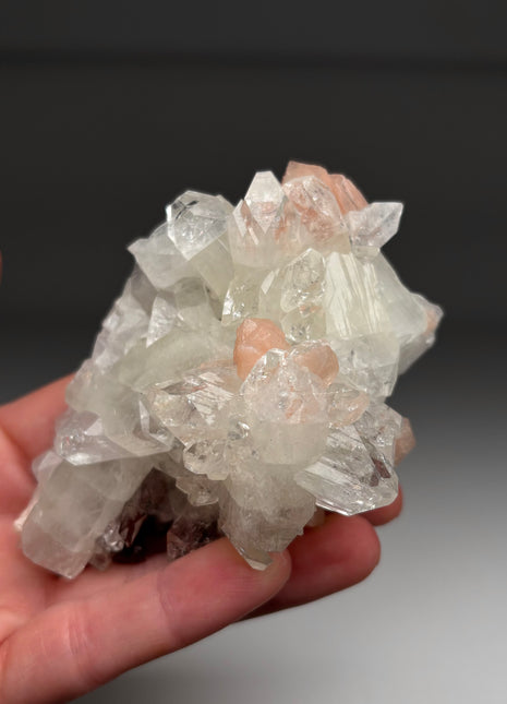 Top ! Gemmy Apophyllite with Pink Stilbite Flower