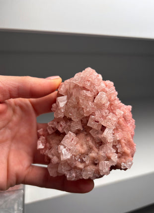 9 Piece Lot ! High Grade Pink Halite from Searles Lake, California