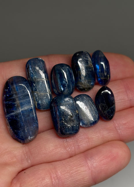 High Grade Blue Kyanite Lot from Nepal, 8 Pieces