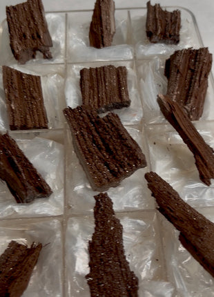 12 Pieces ! Permineralized Fossil Wood Fairy Wood Lot