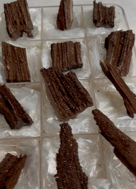 12 Pieces ! Permineralized Fossil Wood Fairy Wood Lot