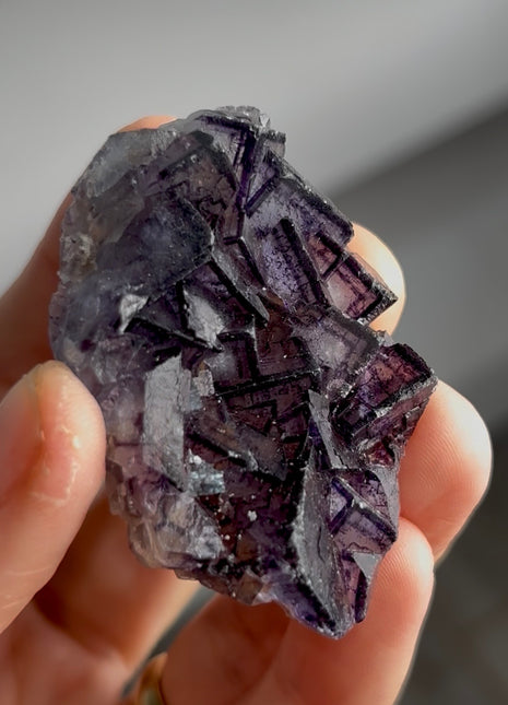 “Picture Frame” Fluorite PM0349