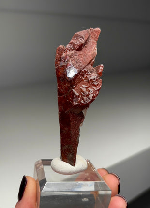 Unique Red Chocolate Quartz