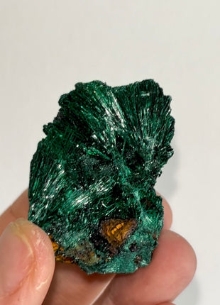 Fibrous Green Malachite PM0337