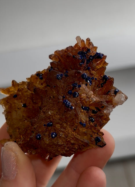 Blueberry Azurite with Quartz